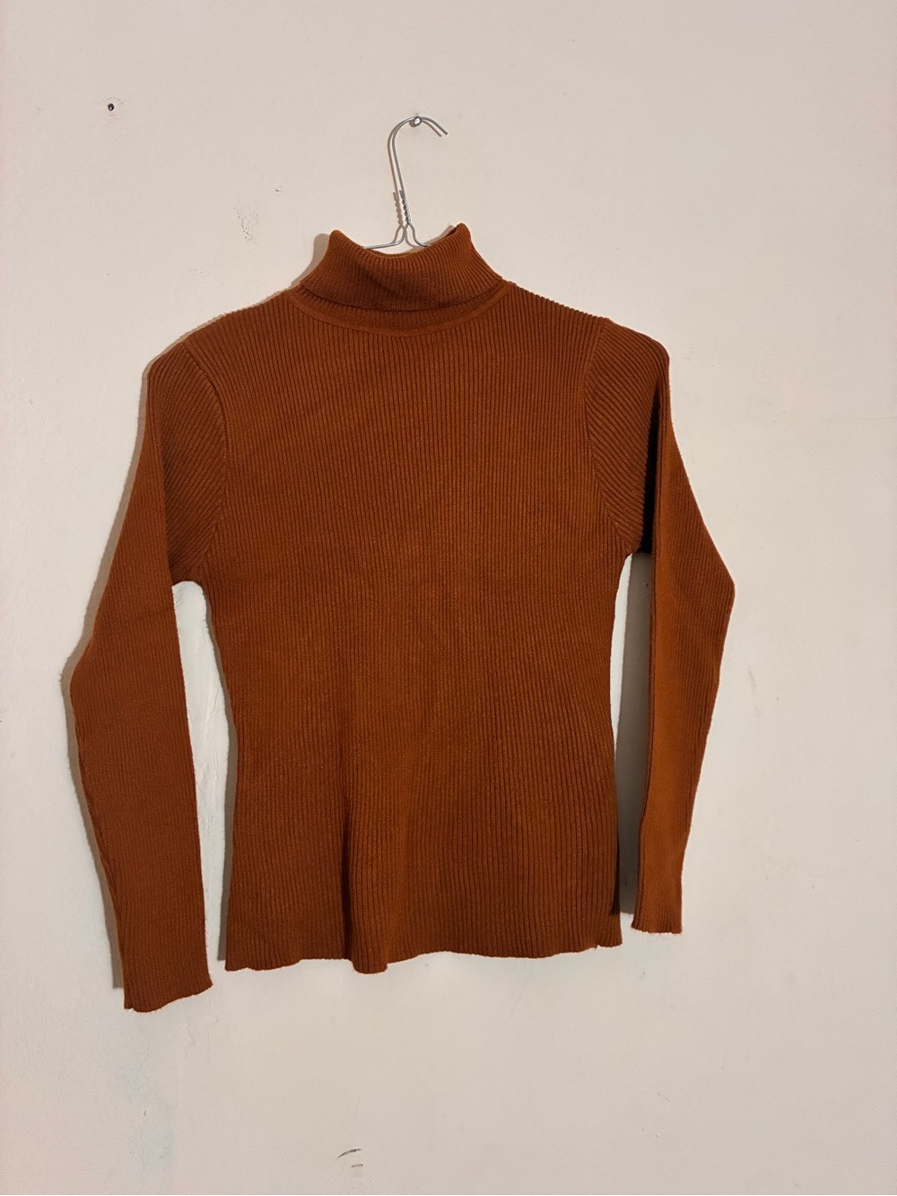 Jon & Anna Ribbed Turtleneck Sweater - Rust